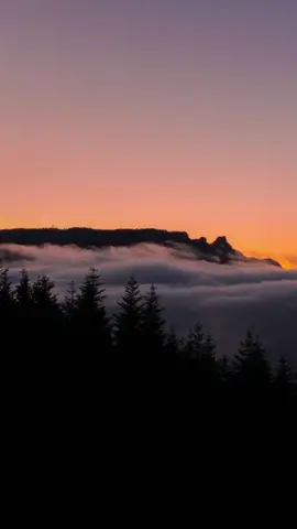 القارئ: عبدالله المطرود ( سورة الزمر ) #إكسبلور #قرآن #تلاوات #تصميمي🎬 