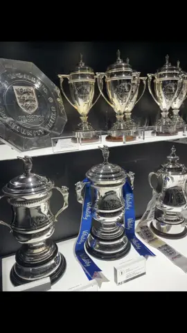 Chelsea FC trophy Cabinet #chelseafc #football #championsleague #PremierLeague #facup #trophy #silverware #winners 