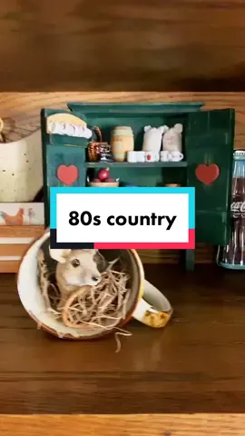 Here’s a little more of the house… the second bathroom is coming soon! #childhood #childhoodmemories #90s #80s #decor #90sdecor #80saesthetic 