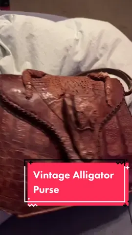 #stitch with @allstyleschanceculp #alligator #fashion #vintage #florida #leather 