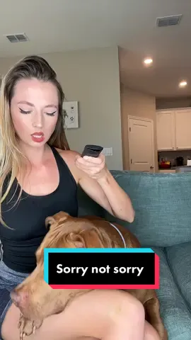 #humor #dogsoftiktok #dogavideo #petlover #funnyvideos #funny #fyp 