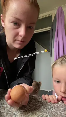 #fyp #eggprank #chicken #funny 