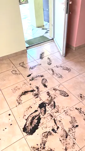 Surprise prank on my girlfriend @alexisfeather 😂😂