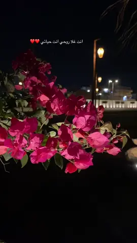 #البرك #خالديات_ابونايف_ملك_الفن_ملك_الاحساس #خالديات_العشق_ابونايف #خالد_عبدالرحمن #تلقى_حياتي_كلها_لذت_غرام #اكسبلور 