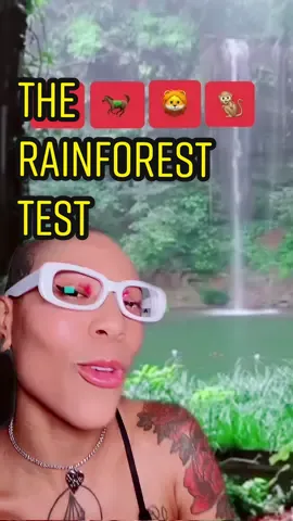 Send this to someone and try to guess theirs and lmk if you guessed correct or not lol #greenscreenvideo #personalitytest 