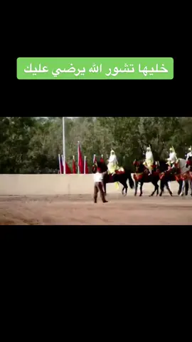 اليوم الثاني من مهرجان الفرس#بالجديدة#عزيز الفاتحي #التبوريدة_تراث_شعبي_مغربي_أصيل #🇪🇸🇲🇦 #إطاليا🇮🇹 #الاماراة🇦🇪 #السعودية🇸🇦 #متابعة_قلب_تعليق_مشاركة 