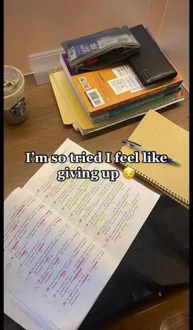Replying to @a.vangor lawyer version #study #school #student #studytok #studymotivation #academic #lifegoals #fyp #DidYouYawn 