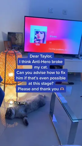 I think we need a Midnights ‘how to fix’ guide 🥺 #taylorswift #midnights #tsmidnights #swifttok #swiftie #cat 