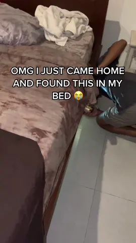 If you’re coming to Bali, you’re gonna wanna watch this 😳 #balilife #travel #balijungle #lizards #wheninbali #bali 