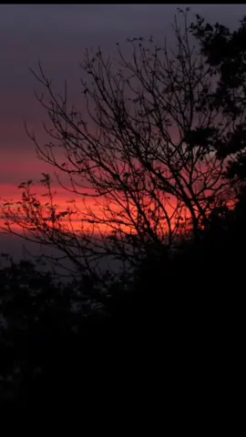 Personnellement j'aime bien 🙃 #landscape #viral #photoshoot #photographe #photographie #photoshooting #paysage #leverdesoleil 