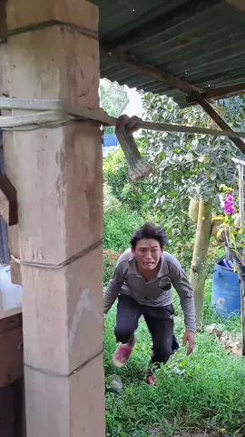 Anh 2 Bị Rắn Cắn Và Cái Kết🤣🤣#xuhuong2022 #Master2022byTikTok #haihuoc #haikich #hoaiphong 