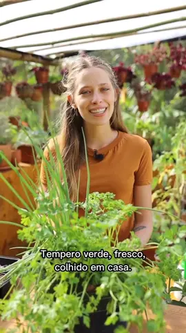 Tempero fresco, colhido em casa e orgânico? Fala sério, tem outro gosto! 🥰  Sabia que dá pra plantar salsinha, cebolinha e coentro juntos? Eles gostam de condições parecidas de ambiente e terra!  #dedoverde #hortas #hortaorganica #hortaemvasos #horta #hortaemcasa #hortaurbana #hortacaseira #hortaorgânica #hortaemapartamento #tempero