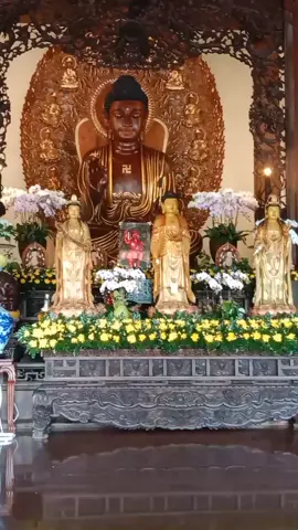 A Di Đà Phật 🙏🙏🙏##nammoadidaphat🙏🙏🙏🙏 ##phatphapnhiemmau ##🧘🧘🧘🧘🧘🧘🧘🙏🙏🙏🙏🙏🙏🙏🙏 