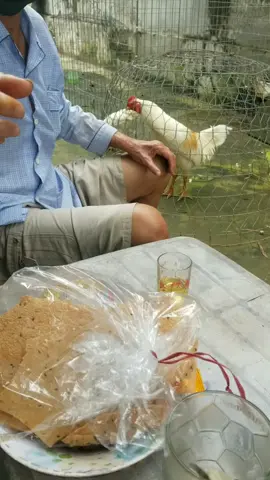 hồi đó giờ ae co gặp trường hợp như ông mình nói chưa  ae,chư đó giờ e chưa  thấy  luôn 