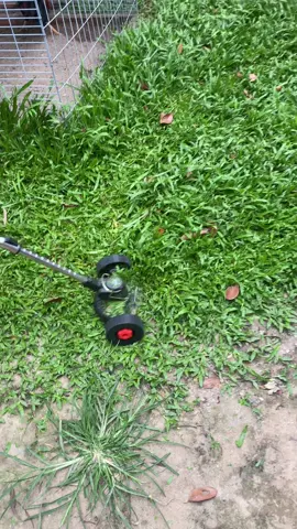 Máy cắt cỏ mini