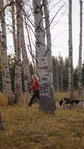 Exploring the world with them, one step at a time 🐶🐶 #dogsoftiktok #dog #dogadventures   🎥 @victoraerden 