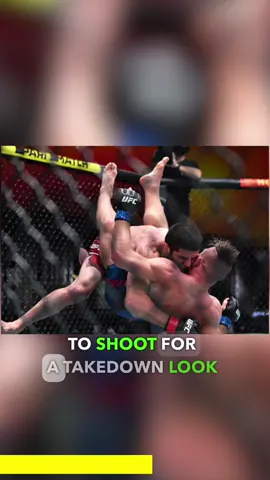 Makhachev vs Olivera UFC 280 final prediction! #sportsbetting #sportsbettingtiktok #mmabets #ufc280 #UFC 