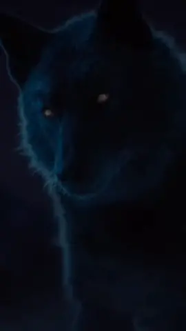 The Ghost Wolf 🖤 #spiritremix #thecallofthewild #wolf #wild #forest #movie #edit #fyp 