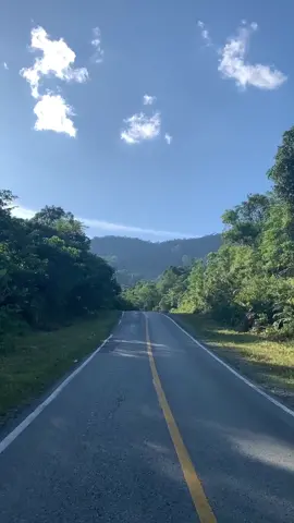 Ada yang tau nama daerah ini? Di dalam video berdurasi kurang lebih 4 menit lewat 4 detik ini adalah sepenggal dari kurang lebih 2jam setengah perjalanan ku saat pulang ke kampung || fyi di dalam video ini hanya menyoroti jalanan dan pemandangan selama aku diperjalanan. #balikkampung #pulangkampung #kalimantan #kalbar #sintang #kapuashulu 