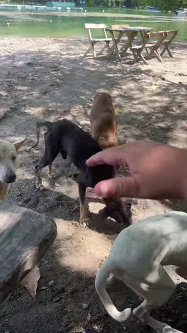 Así es El Salvador 🇸🇻 