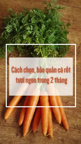 Cách chọn và bảo quản cà rốt trong 2 tháng vẫn tươi ngon siêu dễ luôn nè mọi người ơi 🥕🥕🥕🥕 #ungcaibungaf #carrot #carot #baoquancarot #muacarot #LearnOnTikTok #hoccungtiktok #amm #ssst 