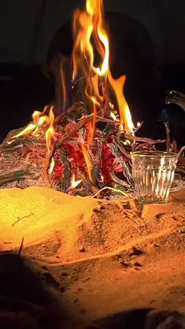 #شاهي #الشتاء #البر #كشته #الشعب_الصيني_ماله_حل😂😂 