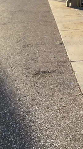 #fyp #cars #foryoupage #fypシ #foryou 