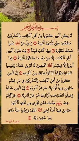 #القران #الكريم #سورة_البينة 