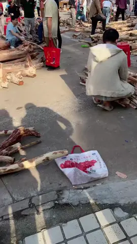 Chợ Gỗ Sưa Hải Nam Trung Quốc..