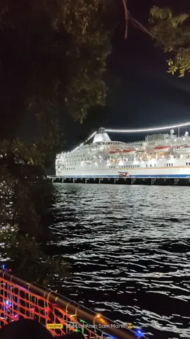 layan view starcruise⛴️ #foryoupage   #fyyyyppppppp  #padangkota  #penangkini  #penangfoodie  #penangmalaysia  #pulaumutiara #rembulanmalam   #jalanjalanpenang  #arief  #cuticutimalaysia2022  #pulaupinang  #spectrumofthesea 