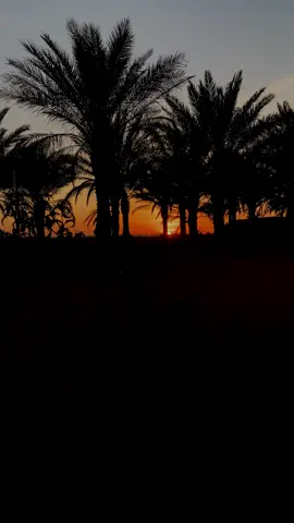 .،                                                   .،         .،                                                  .،   .،      .،                                                 .    #اكسبلور #حايل #هاشتاق #ترند #حايلندا #إكسبلور #تصويري #تصميم_فيديوهات🎶🎤🎬 #تصوير 