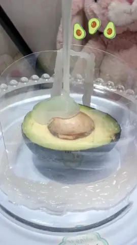 Do you like avocado😝😝#waxcandle #jellycandles #diycandles #demoulding #waxcandles #candlemaker #candletok #candlemakers #waxmelts #candlemaking #diya #candlemaking #burncandles #foodcandles #candlegifts #candlemolds #candlemolding 
