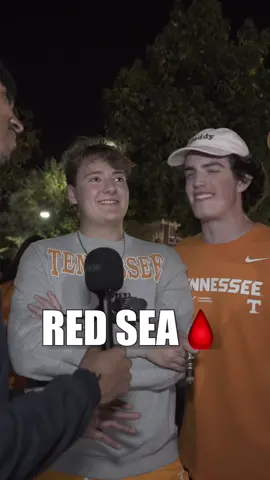 YouTube: TimandDeeTV #fyp #funny 