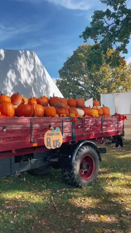 Hope you all have an fun spooky 👻 time this week 🍁🤡 #dailyvlog #pumpkinseason #pumpkinpatch #dayinmylife #cozylife #autumn #fallaesthetic #fyviral #fy #halloween #Halloween2022 