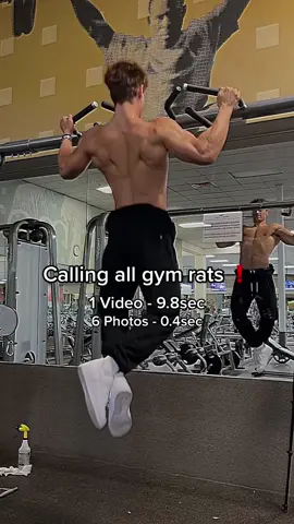 Calling all gym rats 🐀 #princefit #gym #GymTok #Fitness 