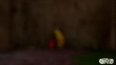 Respect 🥶🥶#respect🥶🥶 #larva #1+1 