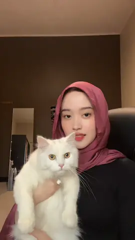 rarwwwwwrr