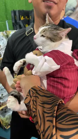 Dapat la jumpa yoyo tadi dekat pet expo midvalley..kita curi mainan dia kejap merajuk terus nasib baik mintak balik kalau tk kita bawak balik mainan awk😝#tiktokkucing #kucinglucu 