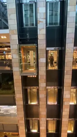 She asked me to to do it, and then slapped me for it! Hardly fair… #lift #elevator #women #honkhonk 