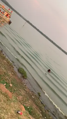 #foryoupage #fyp #zimcelebs #trending #current #zimmodels #zimnews...wats stoppin u from doing this nemunhu wako mumvura mwana wevhu paruzhinji🥂🦦🔥📌...#Usadyirwe musaga🙏🏻