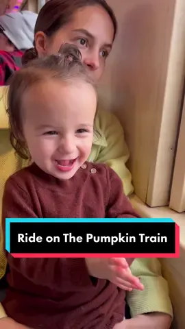 What are your favorite Fall traditions? 🍁 #triplets #toddlerskftiktok #choochootrain #pumpkintrain #pumpkinpatch #hebervalleyrailroad #hebervalley #familytraditions 