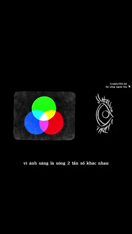 Cách mà chúng ta nhìn thấy màu sắc ! #LearnOnTikTok #hoccungtiktok #toanhoc #khanpha #tiktokshop #susongngoaikiaa #theanh28 