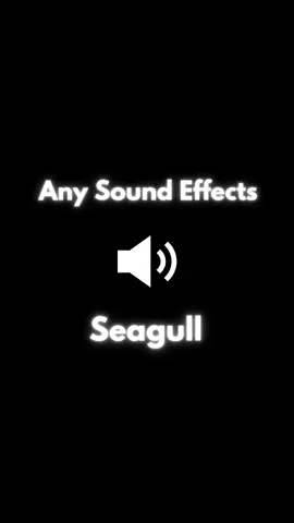 Sound Effect - Seagull #soundeffect #sound #sounds #anysoundeffects #soundeffects #soundviral #soundtrack #effect #effects #fy #fyp #fypage #foryou #foryoupage #seagull #water #ocean #waves #Summer #fishing 