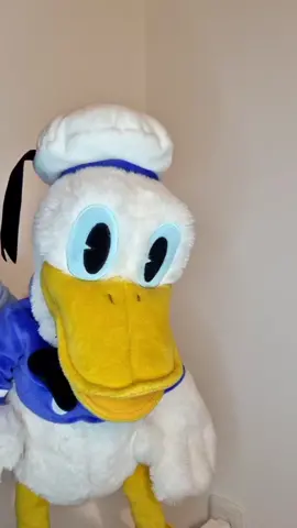 #חיבור סרטון עם @hadarmuchtar   @hadarmuchtar @eretz.nehederet @amirshurush @asiisraelof @shalomke @ma_kashur3 #הדרמוכתר #צעיריםבוערים #donaldduck #דונלדאק #בורקסים #מתאבאשלה @tzionbaruh