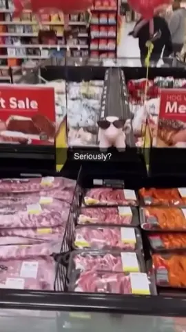 Seriously? #joke #meme 