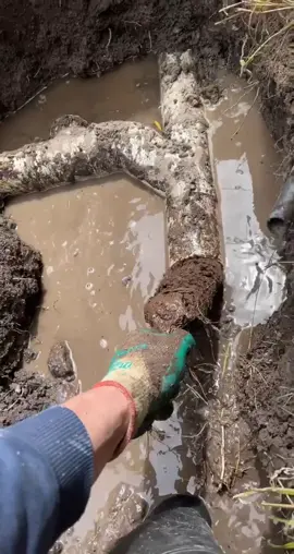 Wondered why my yard kept flooding #satisfying #plumbing #pipecleaner #pipecleanerart #blockage #fyp 