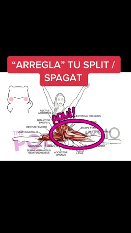 Si estás trabajando en el split este ejercicio va a hacer que lo progreses de la mejor manera posible. Protegiendo espaldita 🥰 #spagattutorial #splitpractice #splitprogress #splitprogression #flexibilidaddepiernas #piernasbailarinas #elongacionencasa #siempreelongada #elongadordepiernas #yogaflexibility #flexibilitytips #AprendeEnTikTok #consejosyoga 