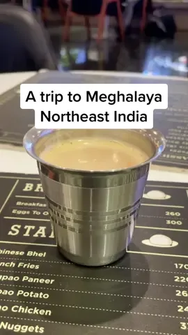 met amazing people and saw the most beautiful natural sites.  #northeastindia #traveltiktok #journey #india #waterfalls #travel #rain