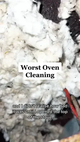The way that powerpaste melted those rust stains was just 🥹 I watch this back and still can’t get over how satisfying that cleaning transformation was. I love being able to do this 💗 @Scrub Daddy #CleanTok #scrubdaddypartner 