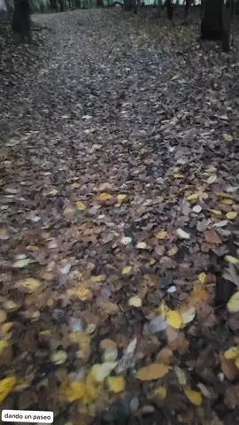 #viraltiktok #foryoupage #foryou #fypシ 